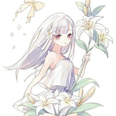 张雪的20年